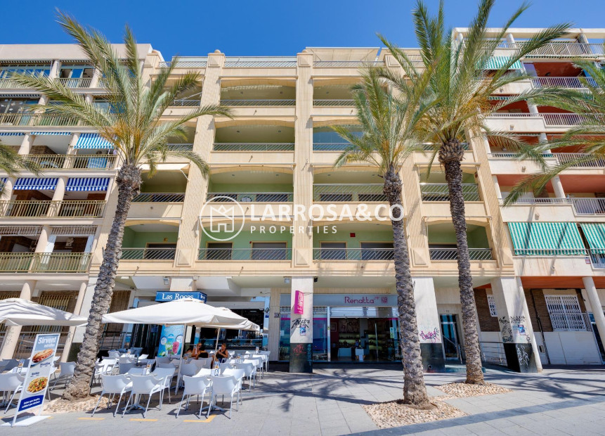 Resale - Apartment - Torrevieja - Paseo maritimo