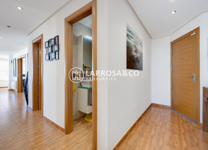 Resale - Apartment - Torrevieja - Playa Acequion