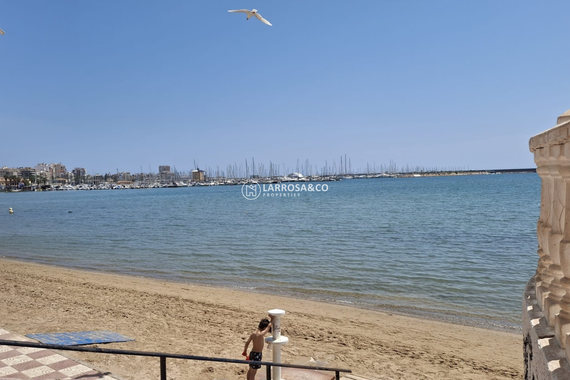 Resale - Apartment - Torrevieja - Playa Acequion