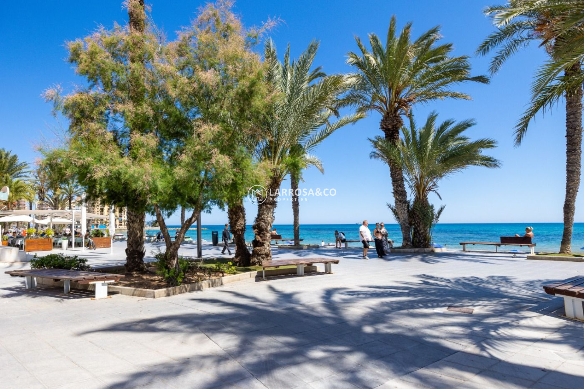 Resale - Apartment - Torrevieja - Playa del cura