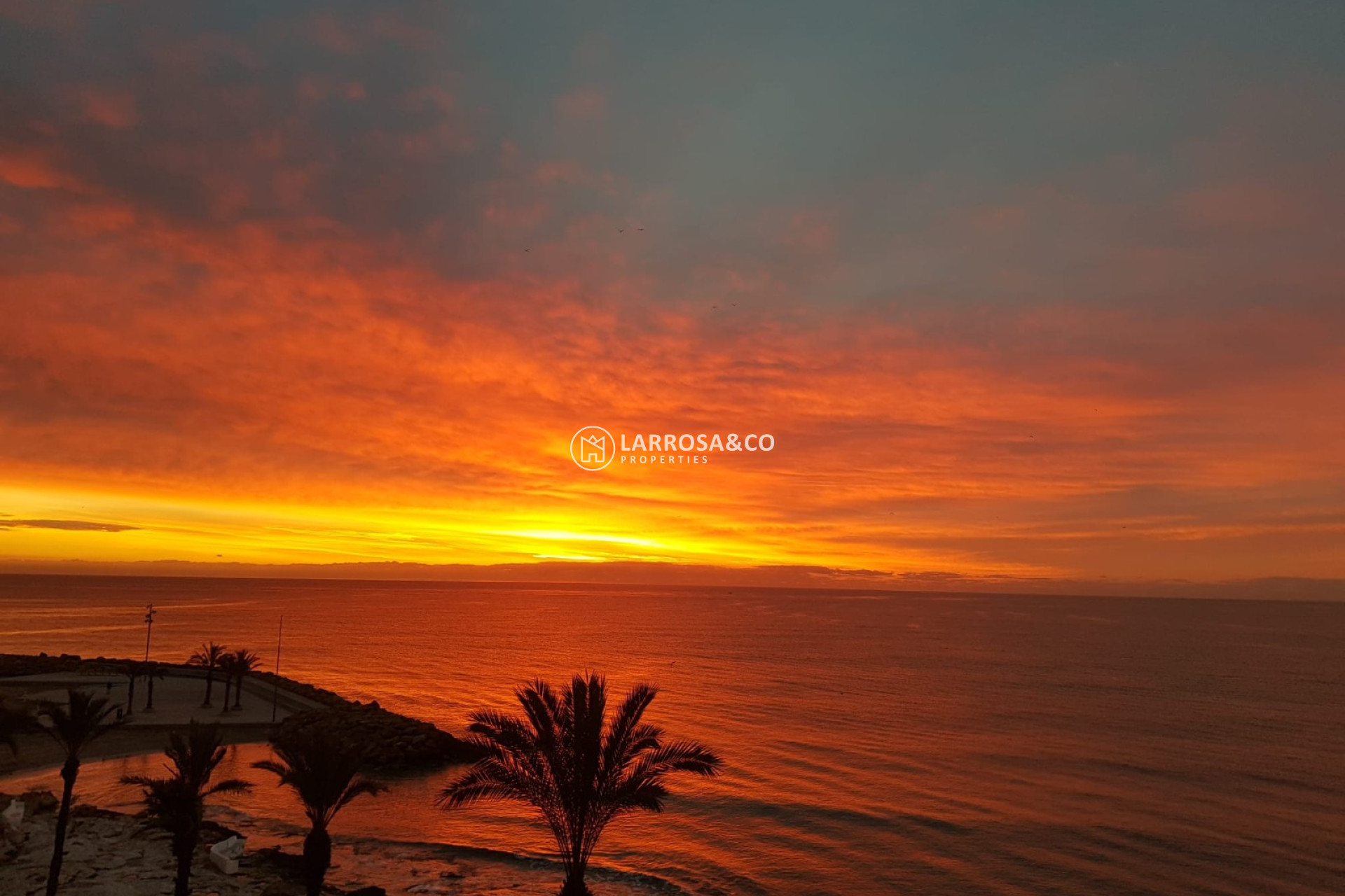 Resale - Apartment - Torrevieja - Playa del cura