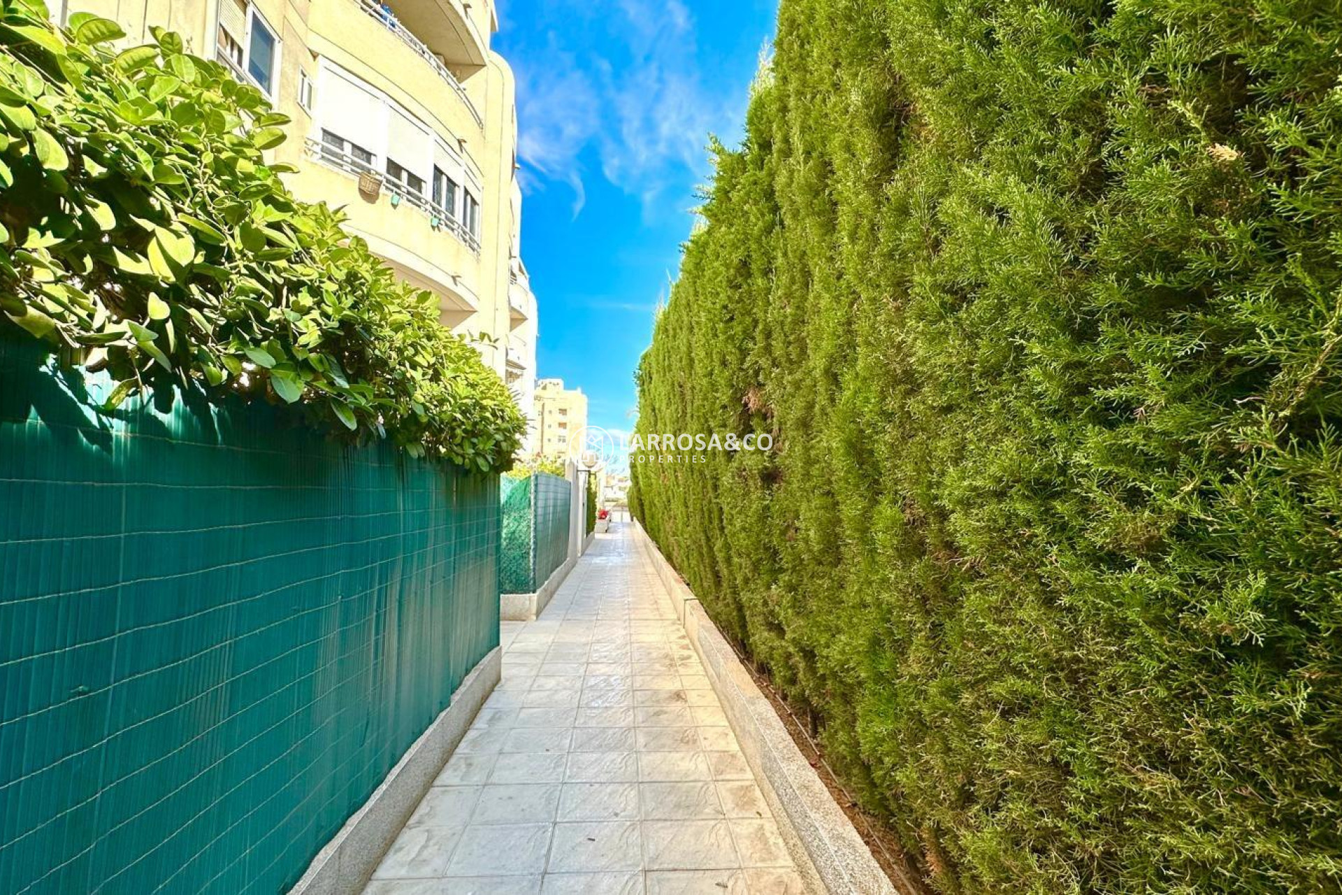 Resale - Apartment - Torrevieja - Playa del cura