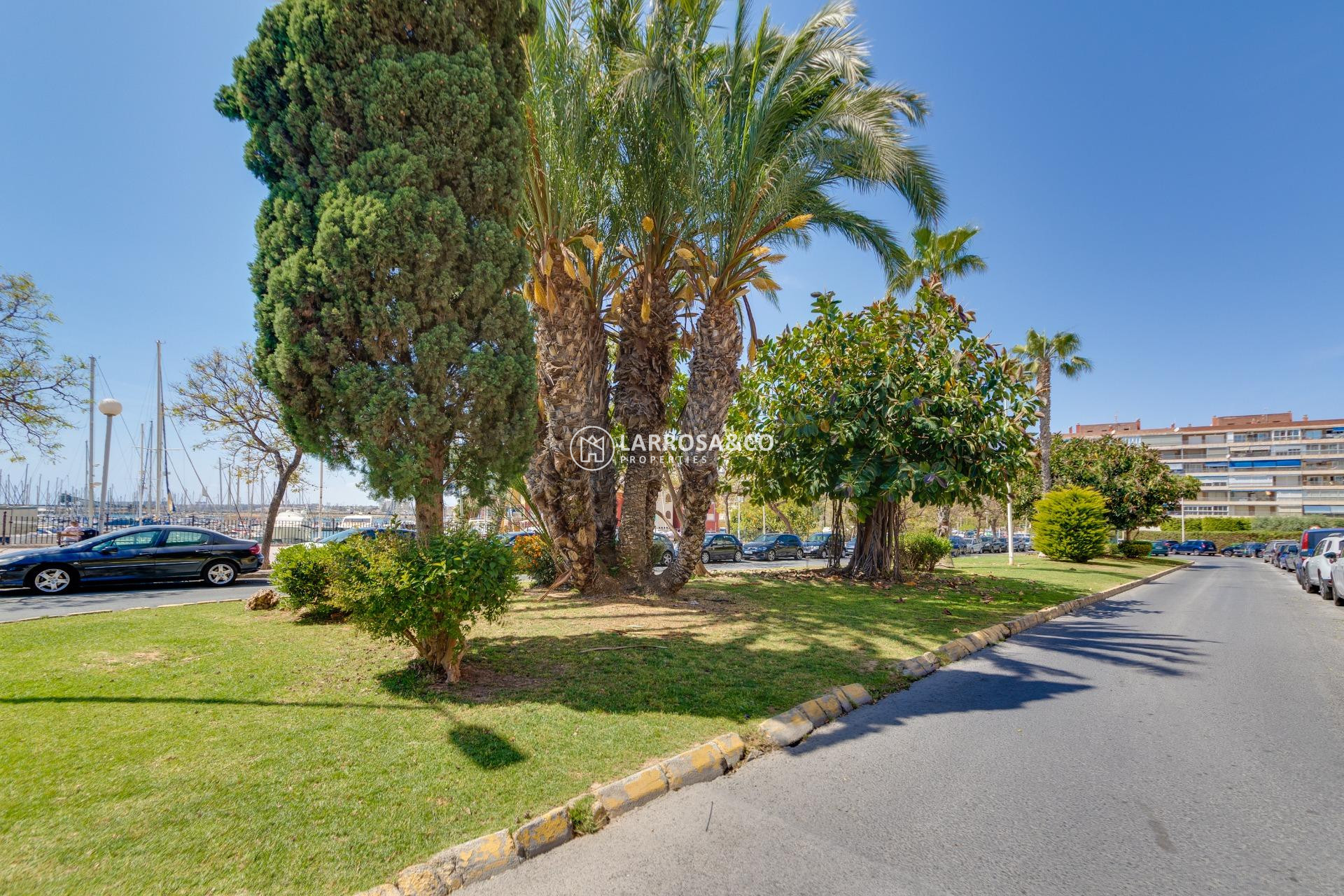 Resale - Apartment - Torrevieja - Puerto