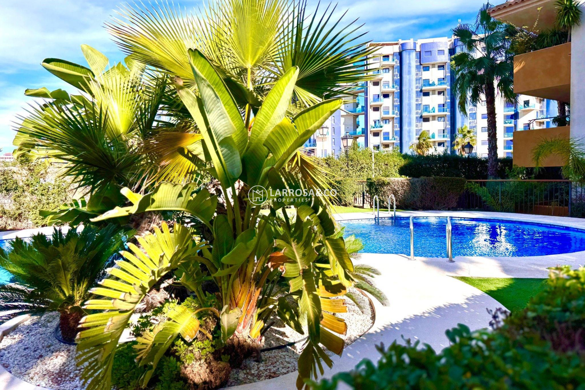 Resale - Apartment - Torrevieja - Punta Prima