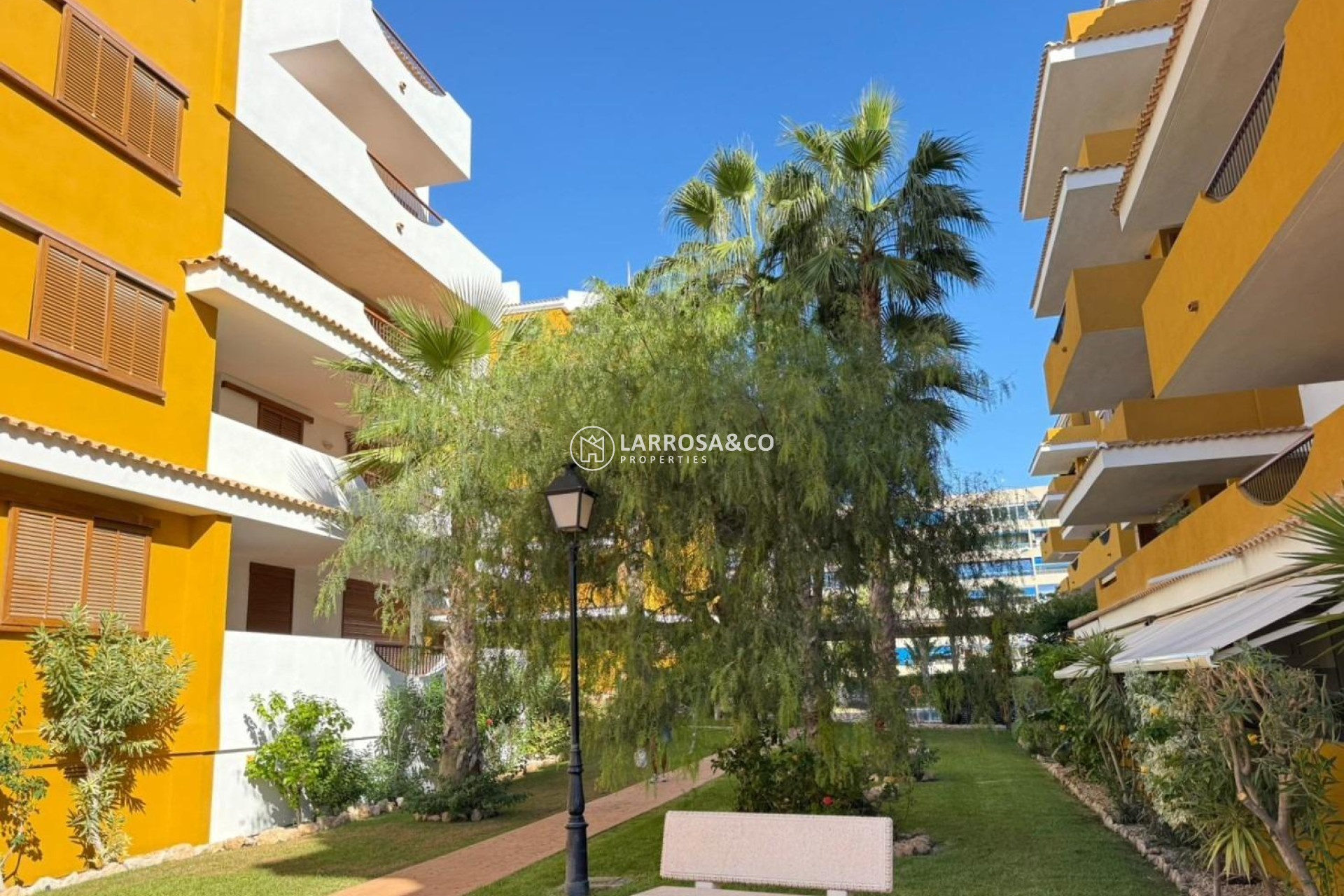 Resale - Apartment - Torrevieja - Punta Prima