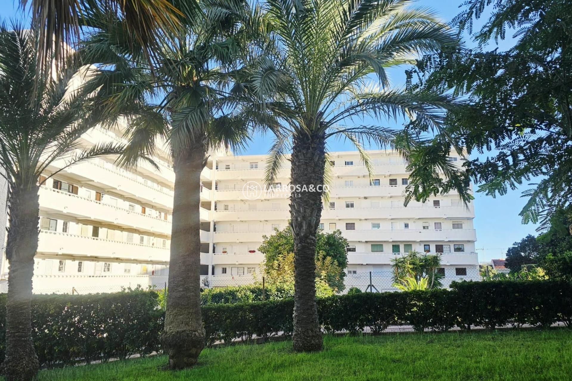 Resale - Apartment - Torrevieja - Torreblanca