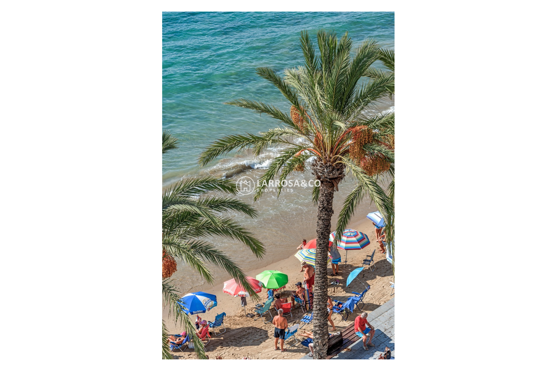 Resale - Apartment - Torrevieja - torrevieja