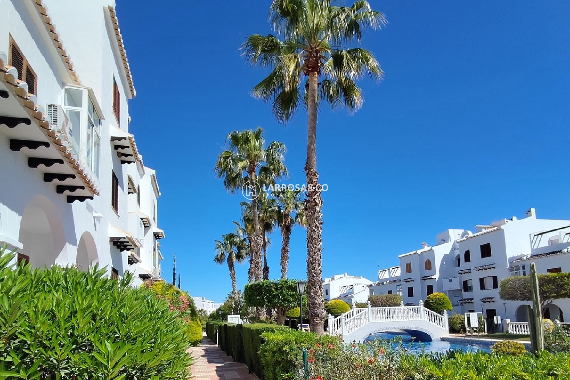 Resale - Bungalow - Ciudad Quesada - Costa Blanca