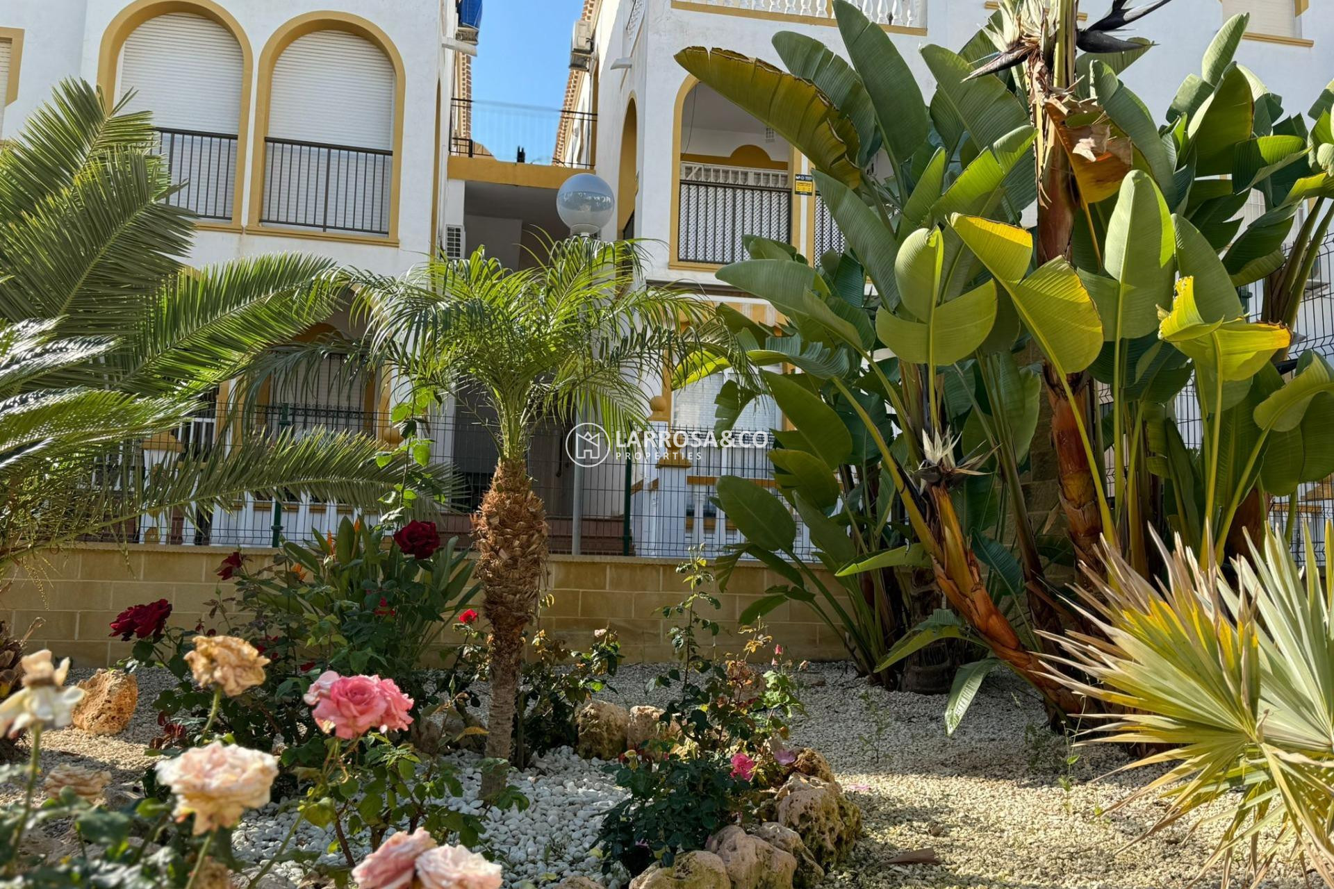 Resale - Bungalow - Torrevieja - Cañada Del Molino