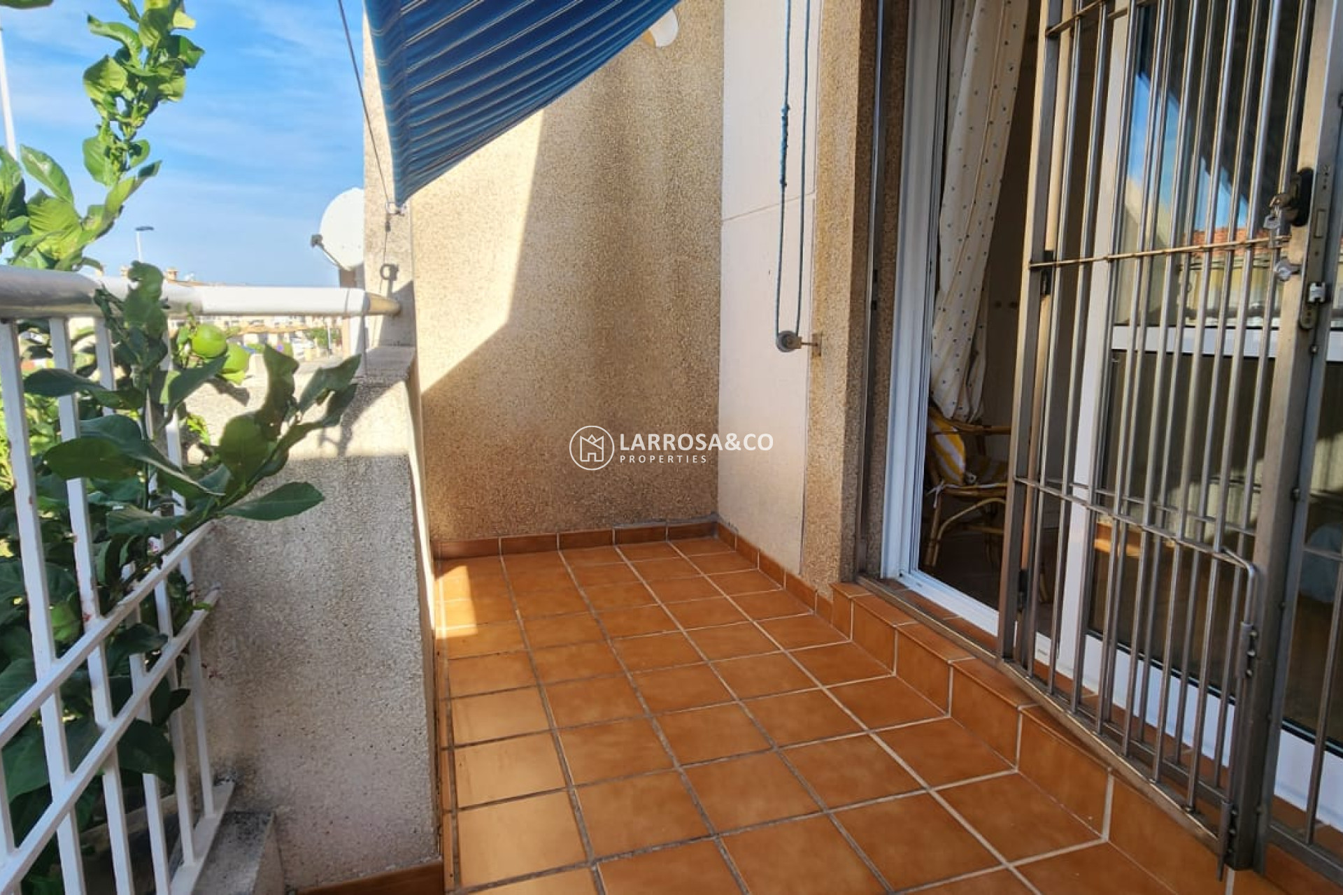Resale - Bungalow - Torrevieja - Costa Blanca