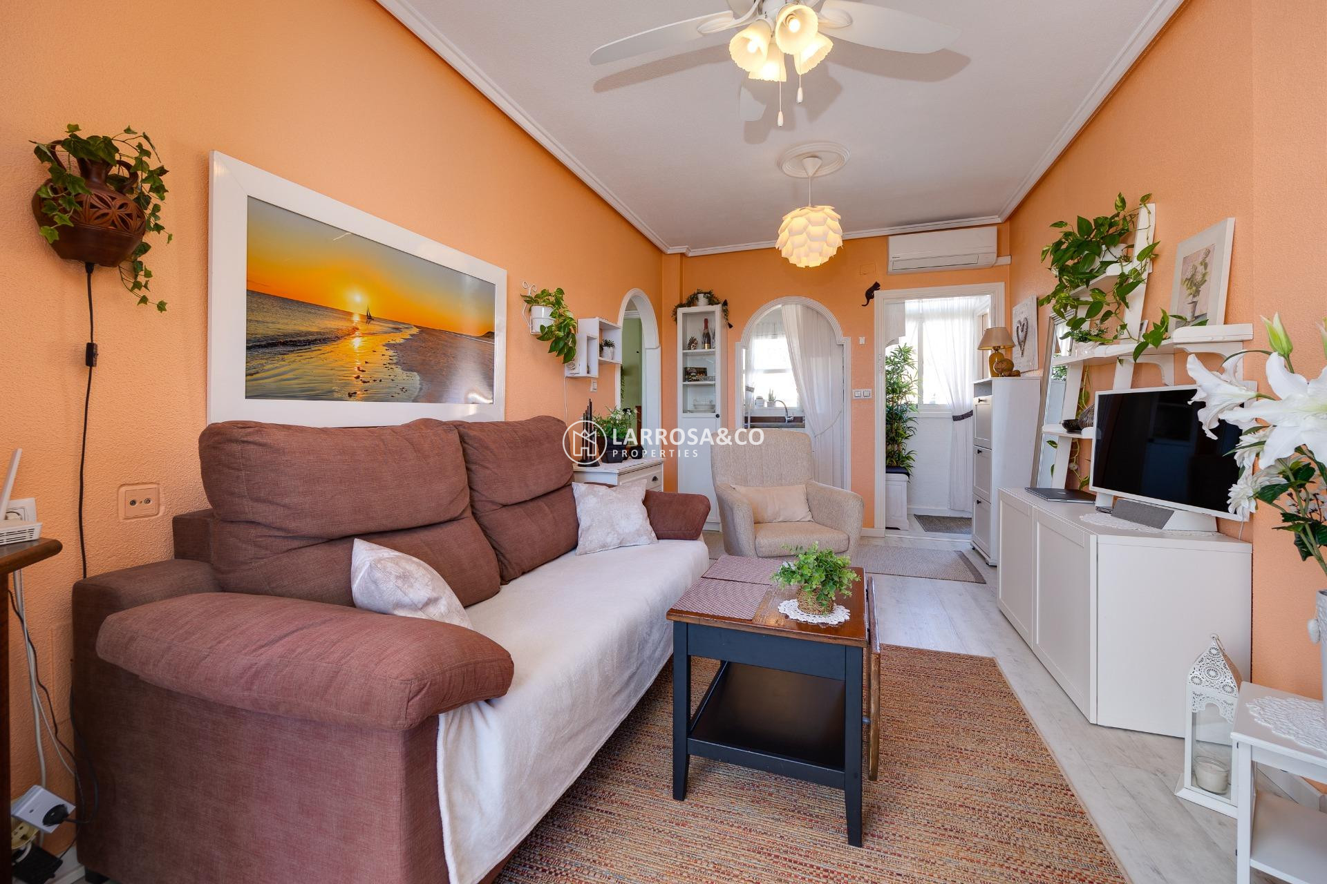 Resale - Bungalow - Torrevieja - El molino