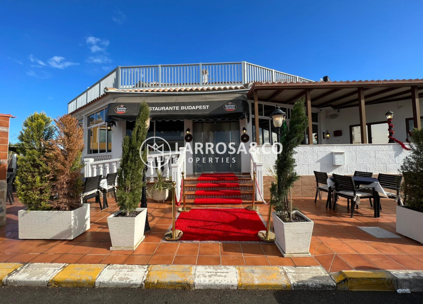 Resale - Business - Ciudad Quesada - Lo pepin