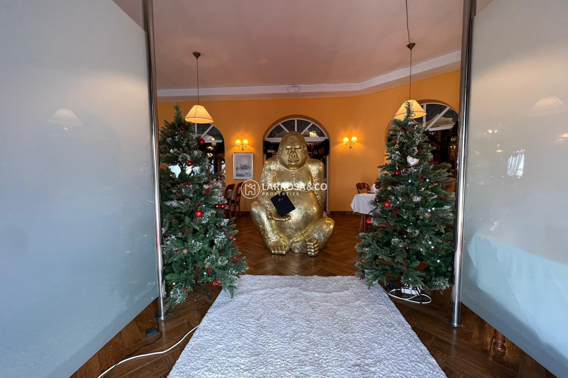 Resale - Business - Ciudad Quesada - Lo pepin