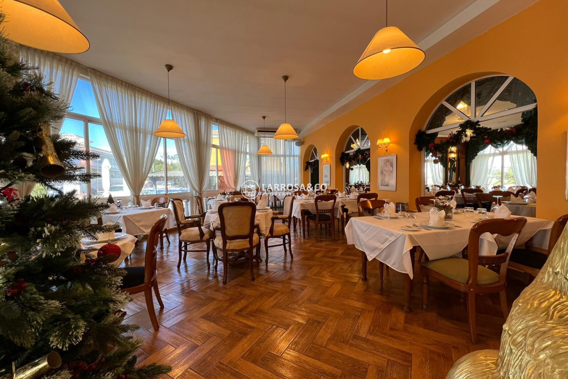 Resale - Business - Ciudad Quesada - Lo pepin