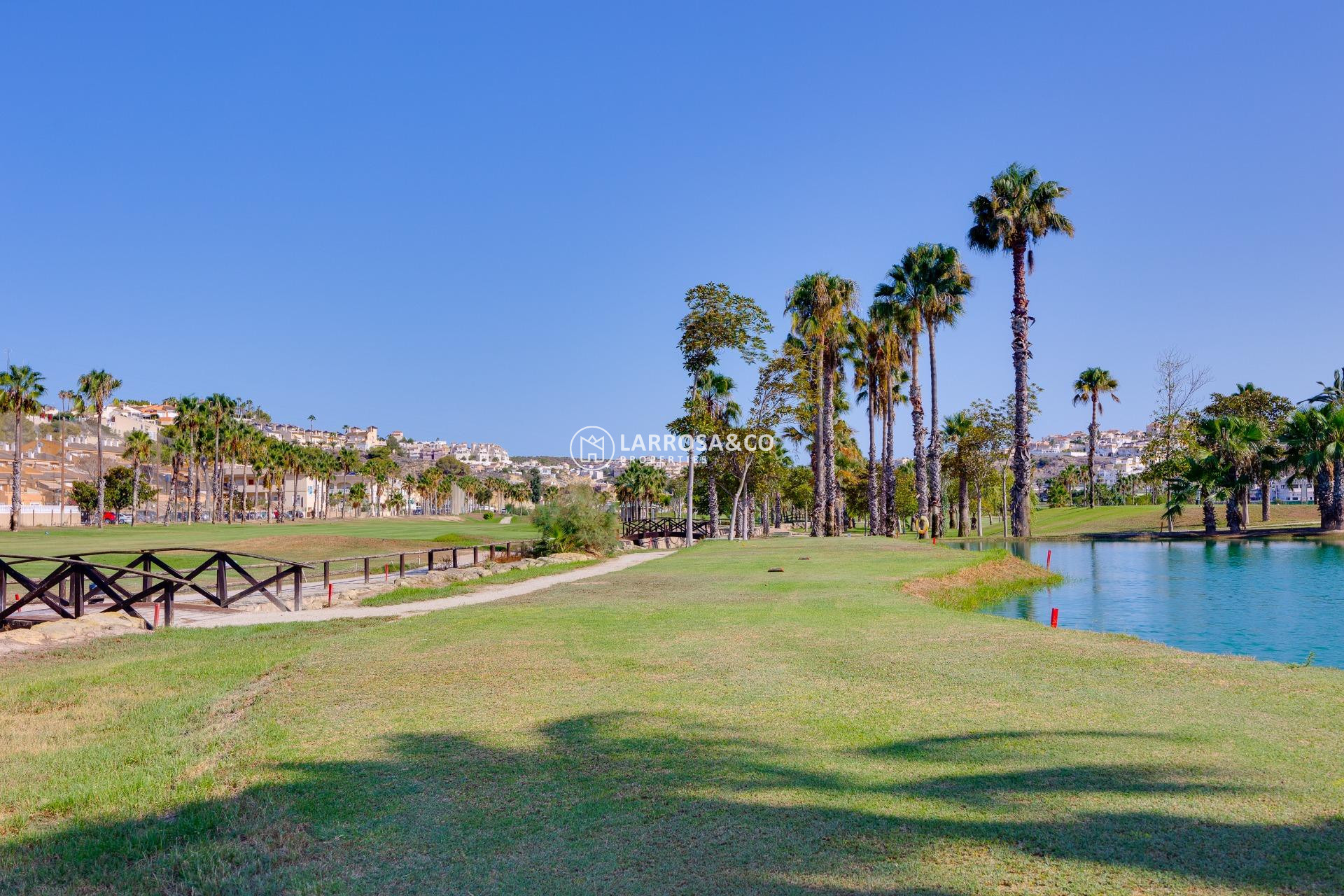 Resale - Commercial space - Ciudad Quesada - DOÑA PEPA