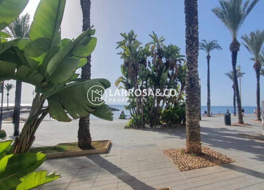 Resale - Commercial space - Torrevieja - Paseo maritimo