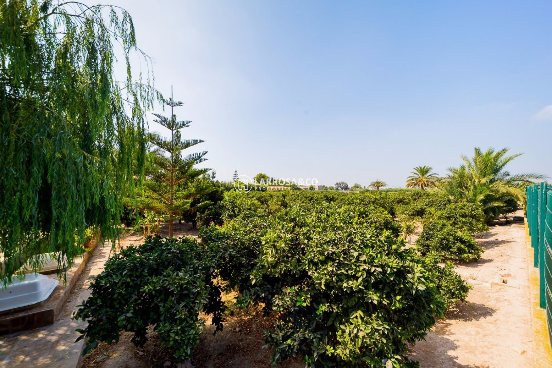 Resale - Country house - Almoradí - Camino De Catral