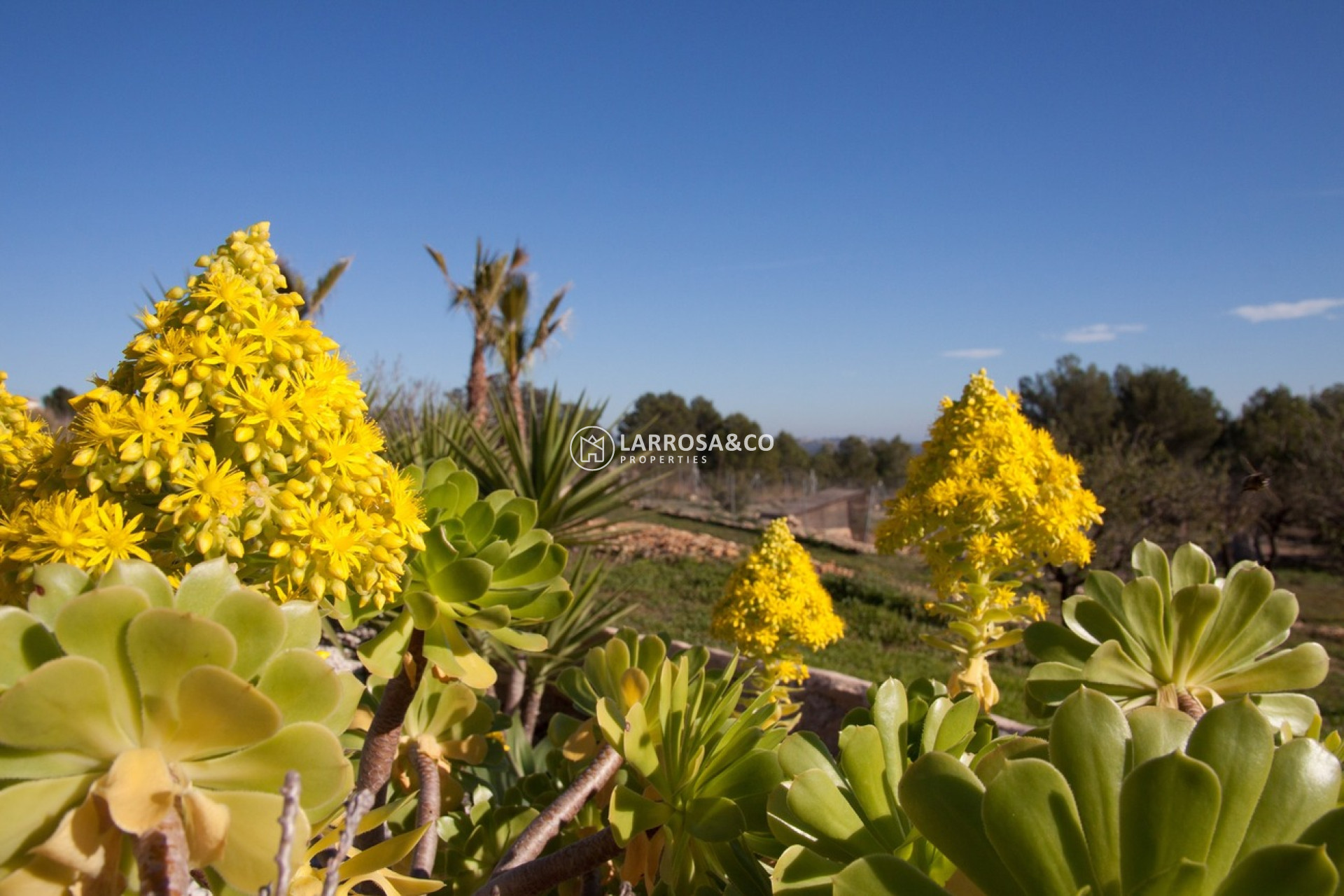 Resale - Country house - Benissa - Costa Blanca