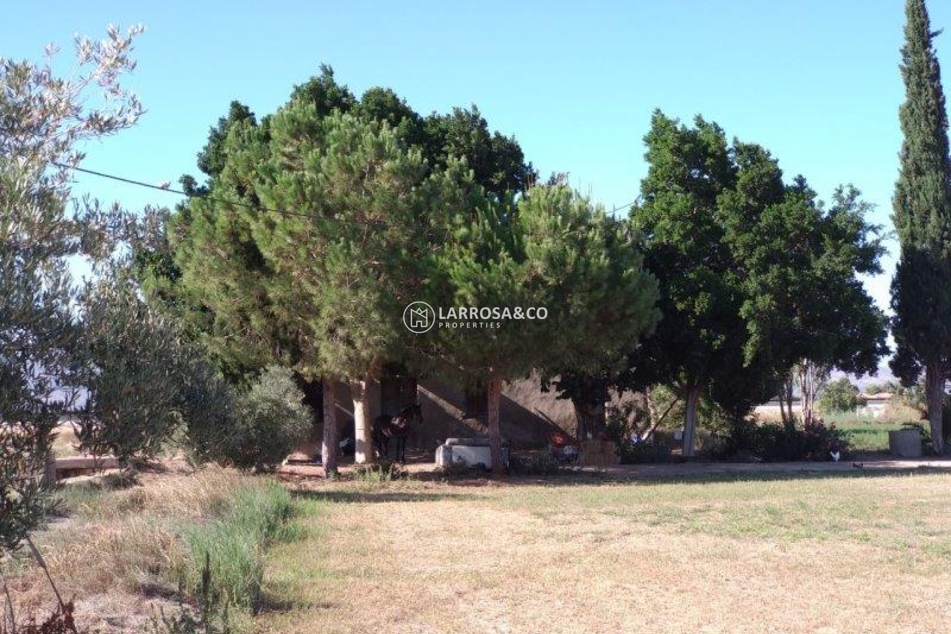 Resale - Country house - Callosa de Segura - Inland