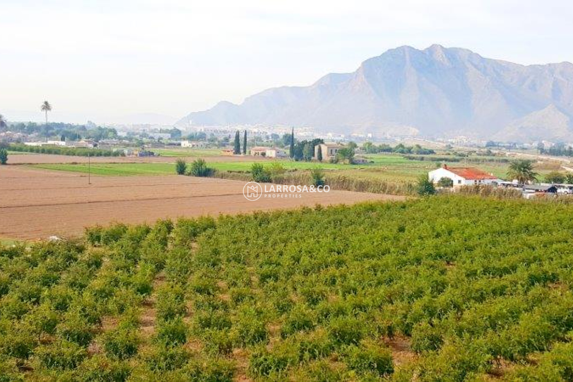 Resale - Country house - Callosa de Segura - Inland
