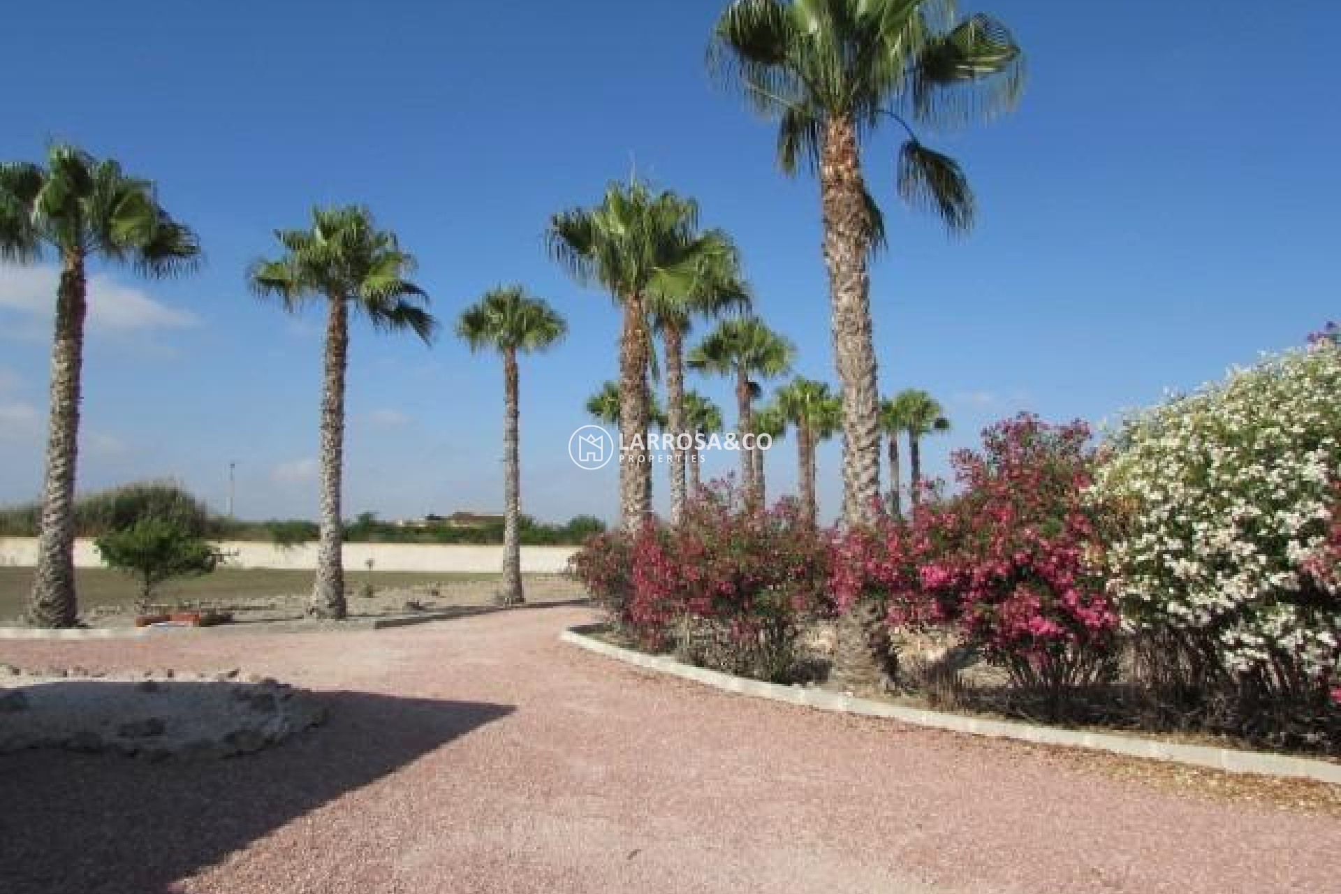 Resale - Country house - Dolores - Comunidad valenciana