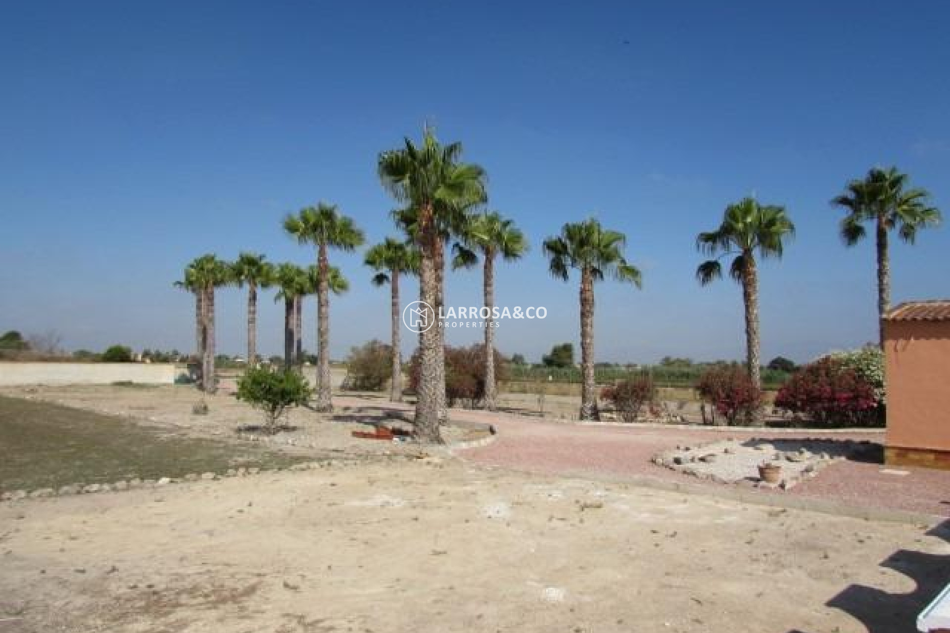 Resale - Country house - Dolores - Comunidad valenciana