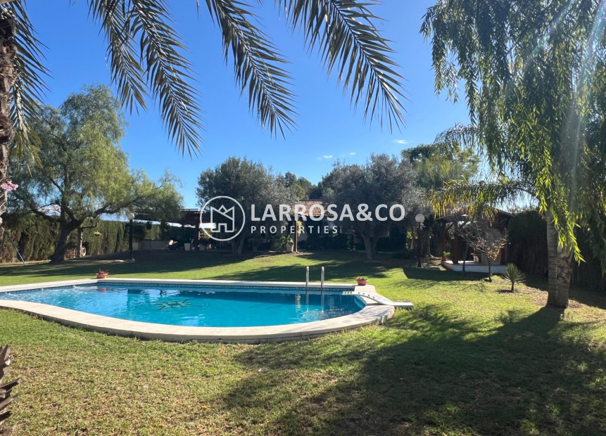 Resale - Country house - Dolores - Comunidad valenciana
