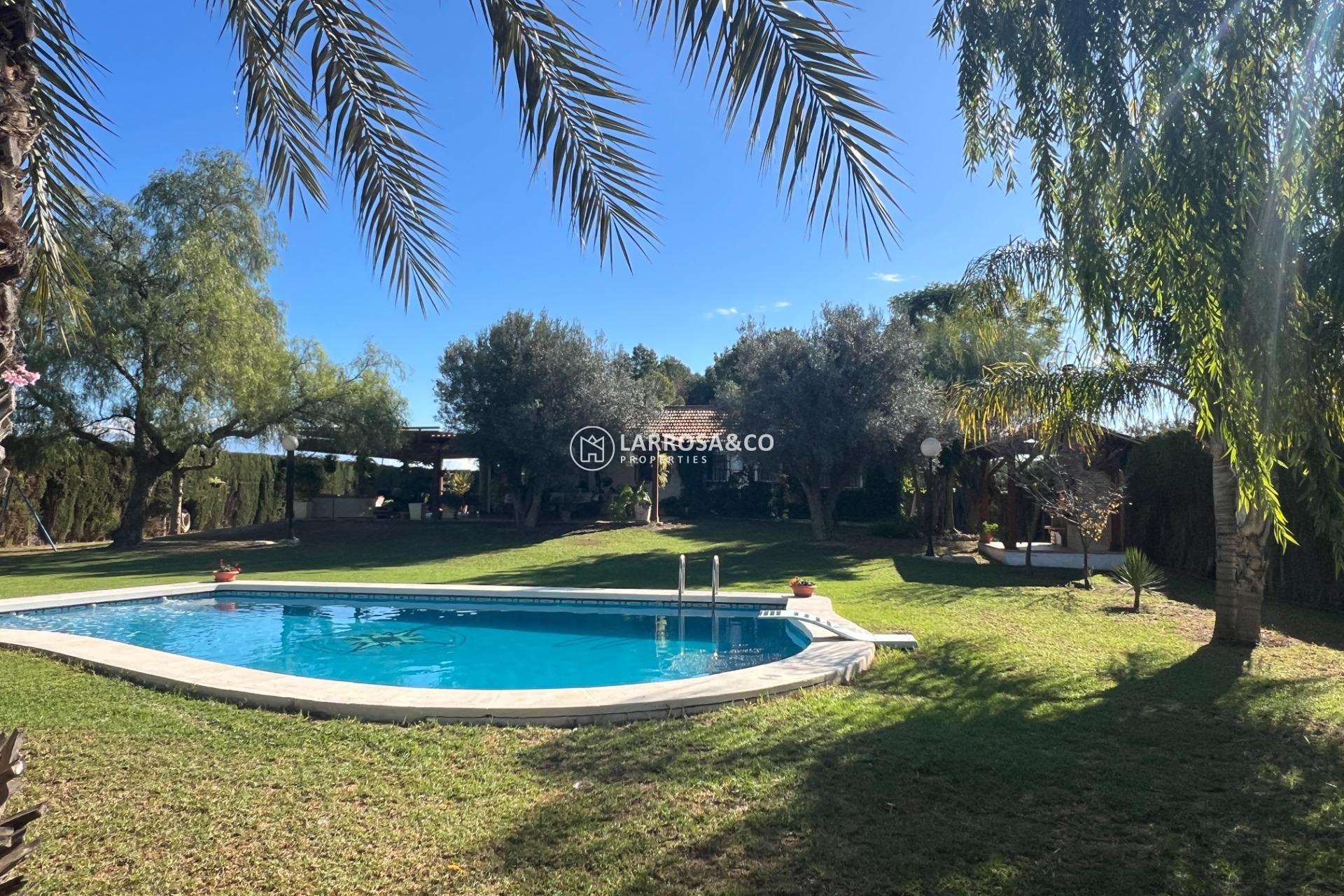 Resale - Country house - Dolores - Comunidad valenciana
