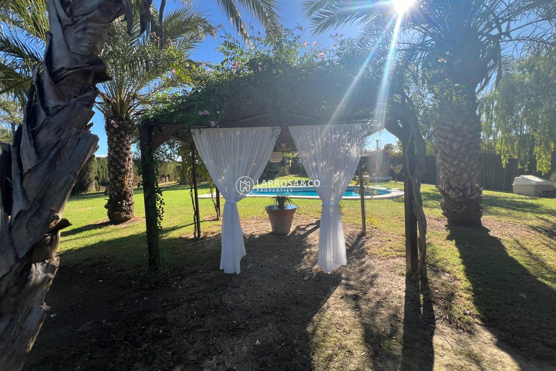 Resale - Country house - Dolores - Comunidad valenciana