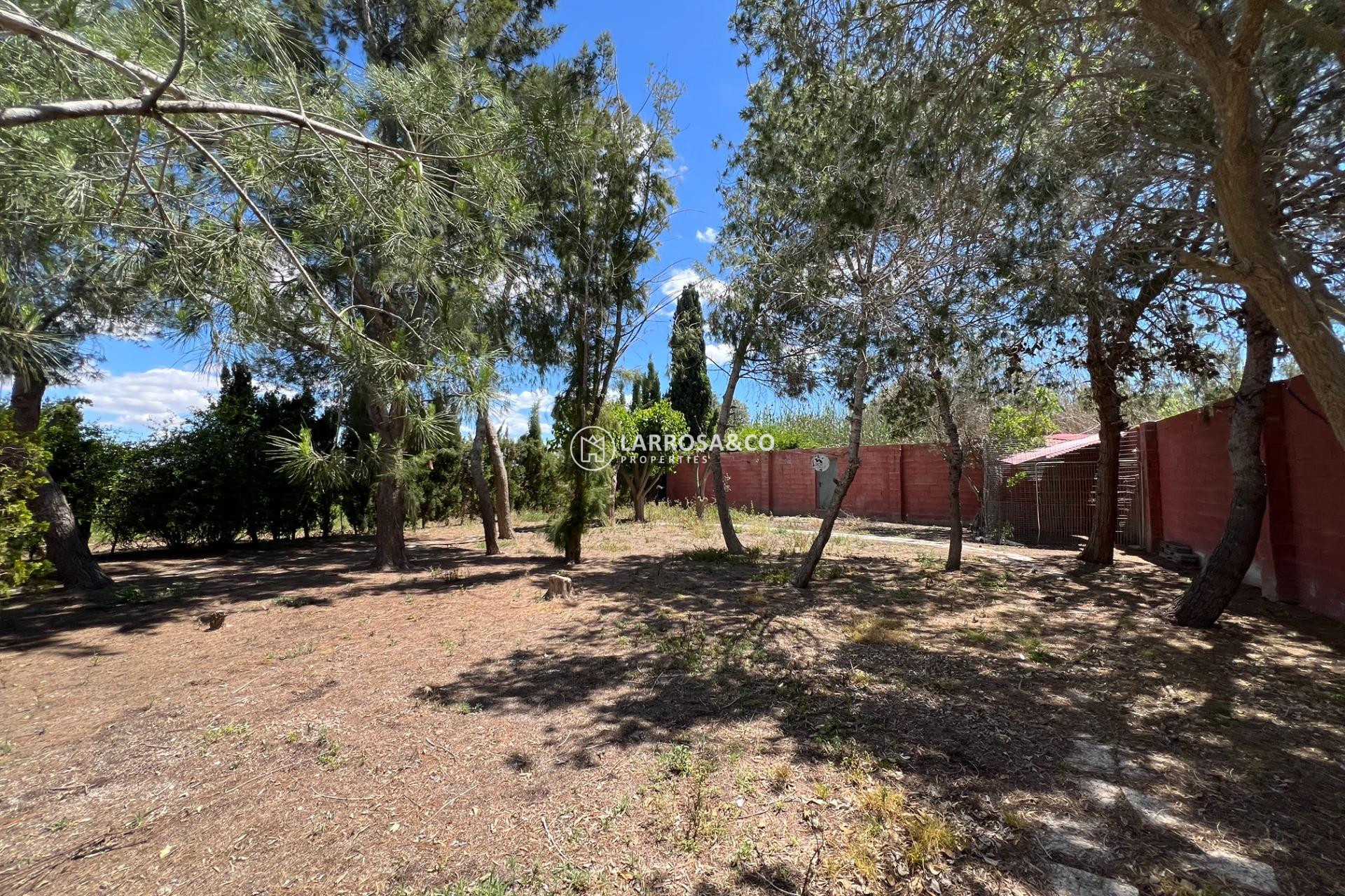 Resale - Country house - Dolores - Comunidad valenciana