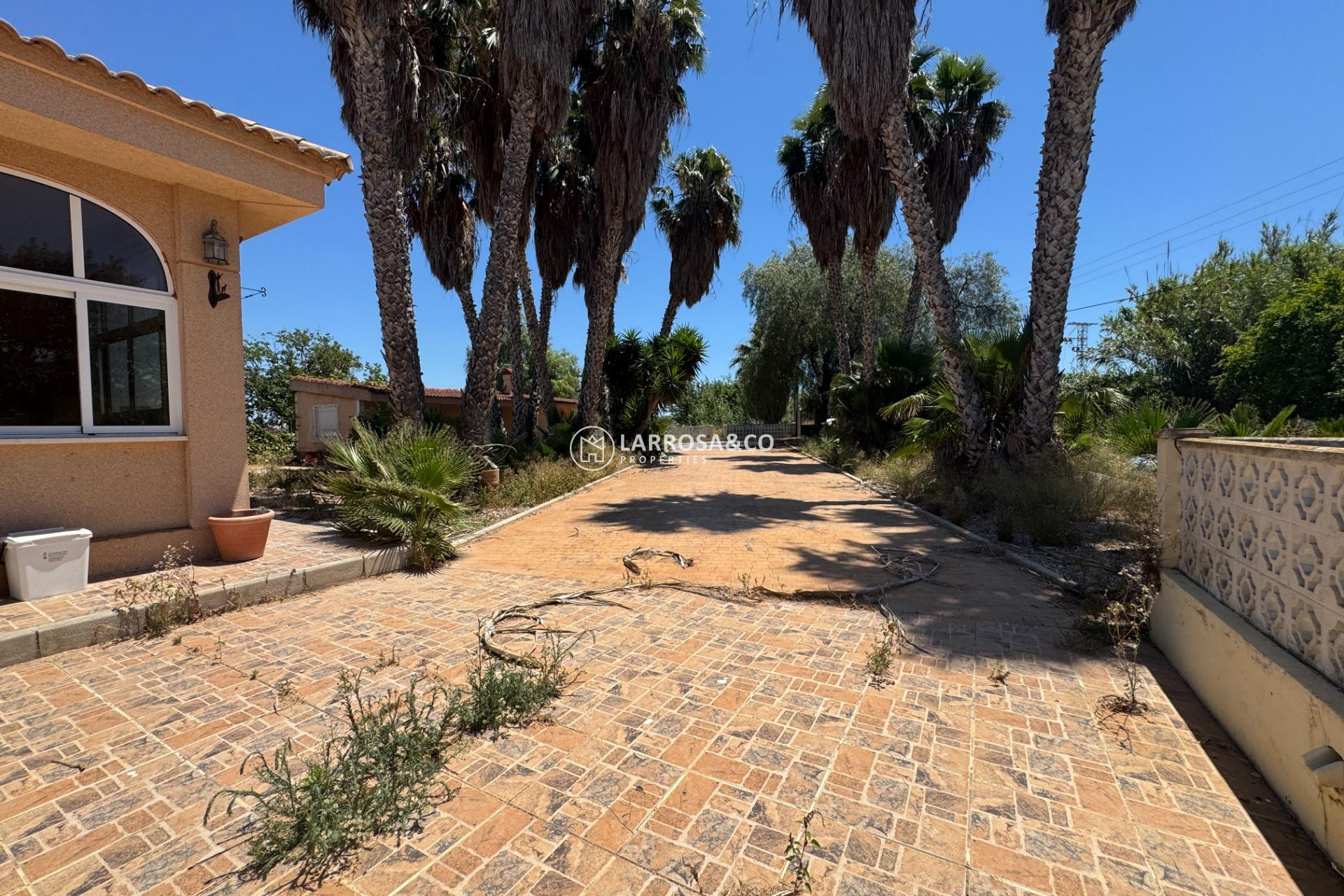 Resale - Country house - Dolores - Comunidad valenciana