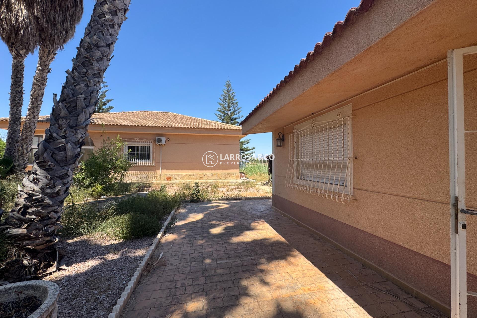 Resale - Country house - Dolores - Comunidad valenciana