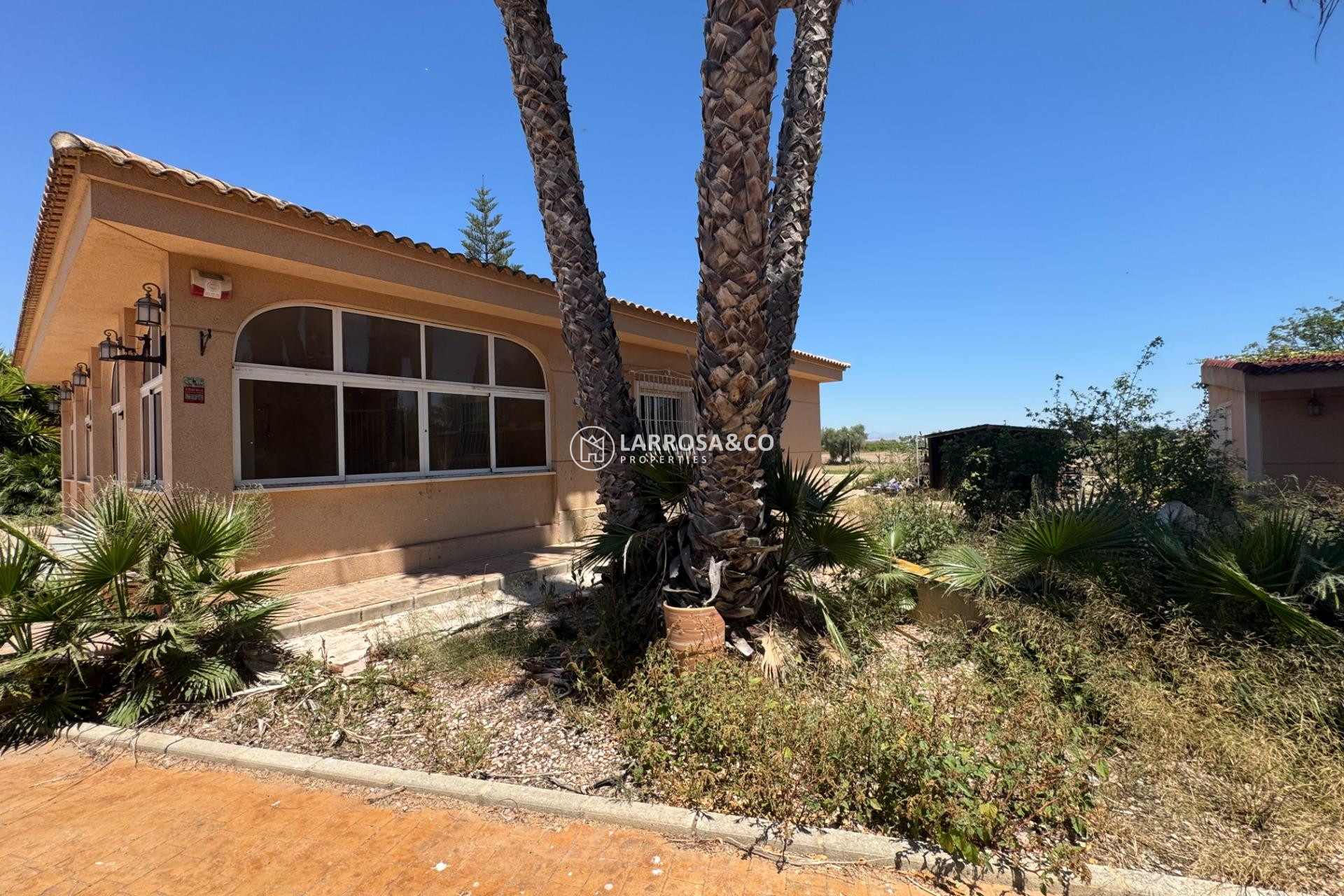 Resale - Country house - Dolores - Comunidad valenciana