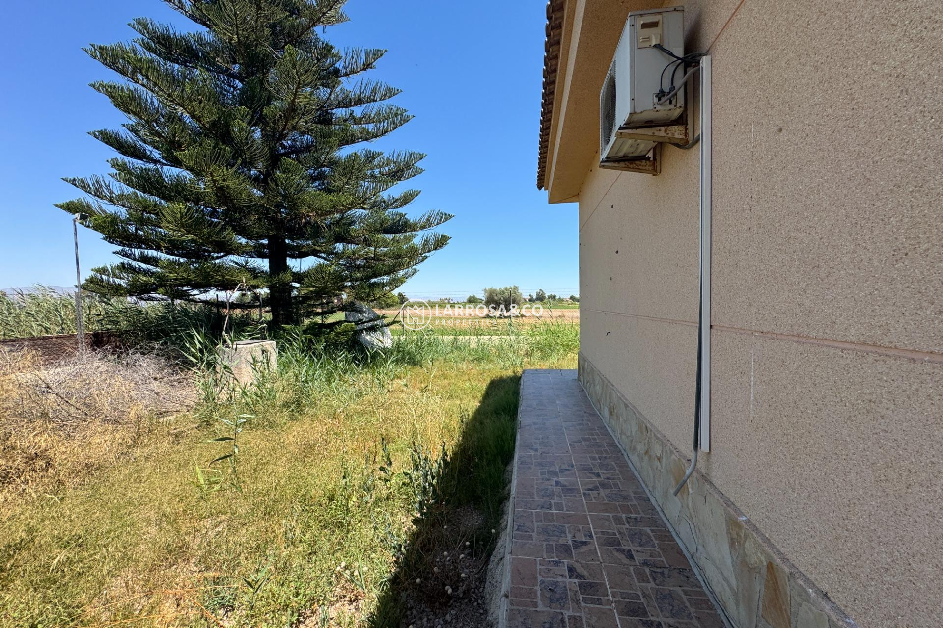 Resale - Country house - Dolores - Comunidad valenciana