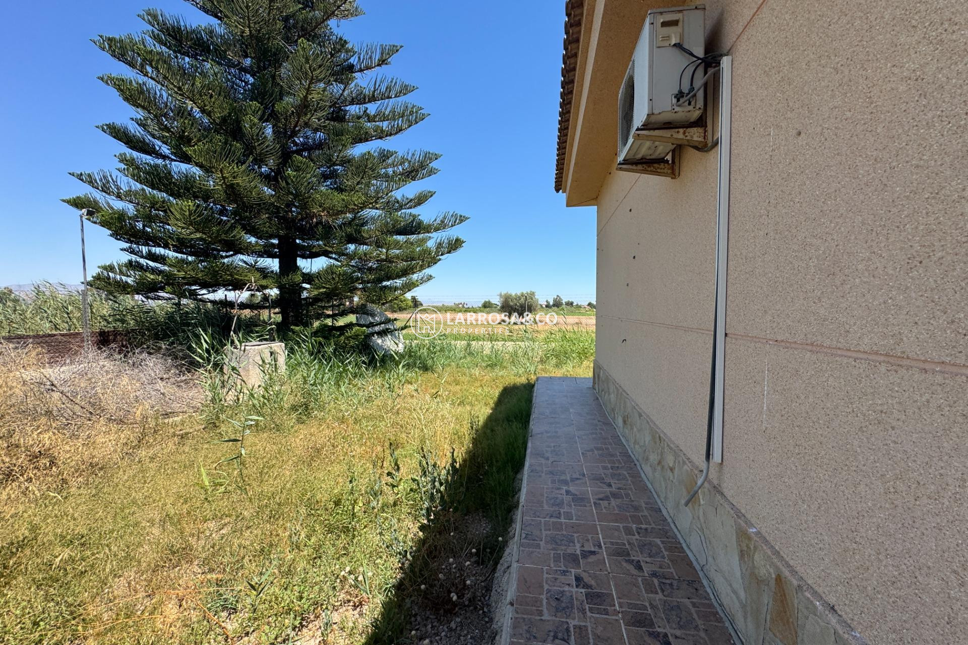 Resale - Country house - Dolores - Comunidad valenciana