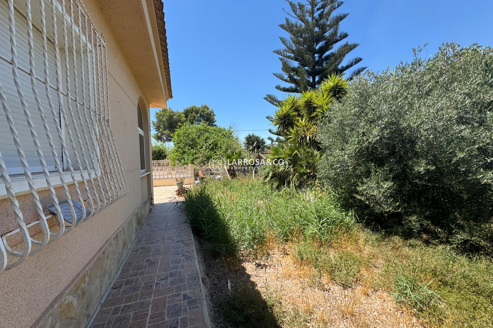 Resale - Country house - Dolores - Comunidad valenciana