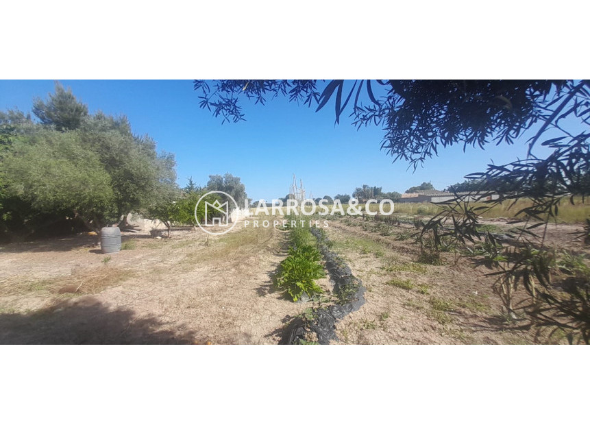 Resale - Country house - Dolores