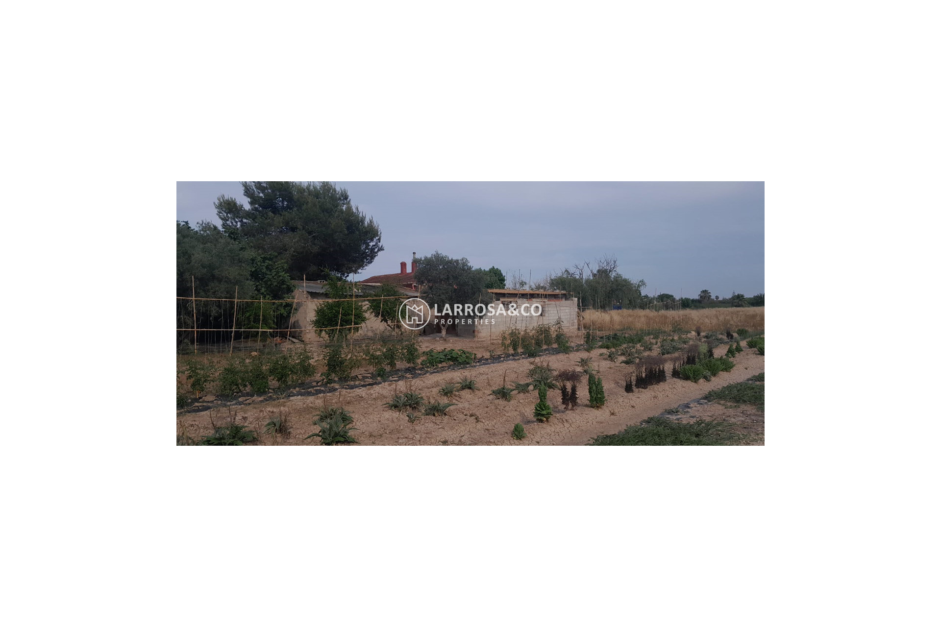 Resale - Country house - Dolores