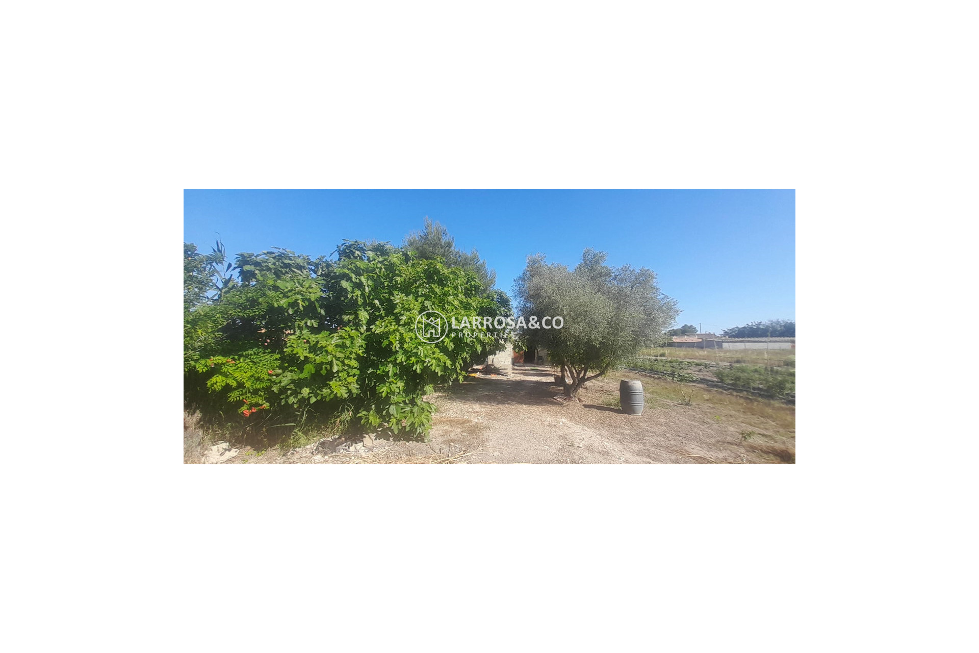 Resale - Country house - Dolores