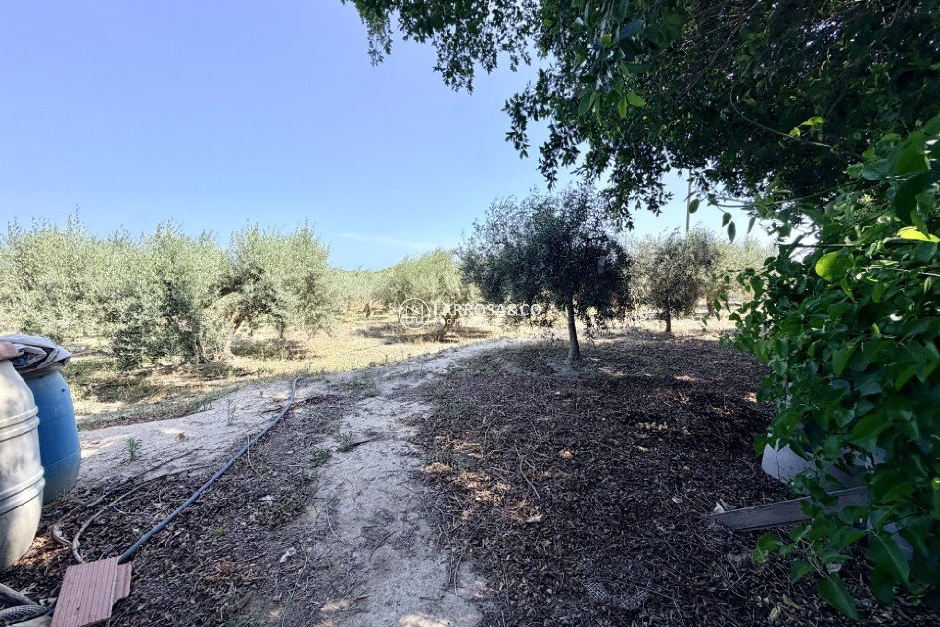 Resale - Country house - La Marina - Costa Blanca