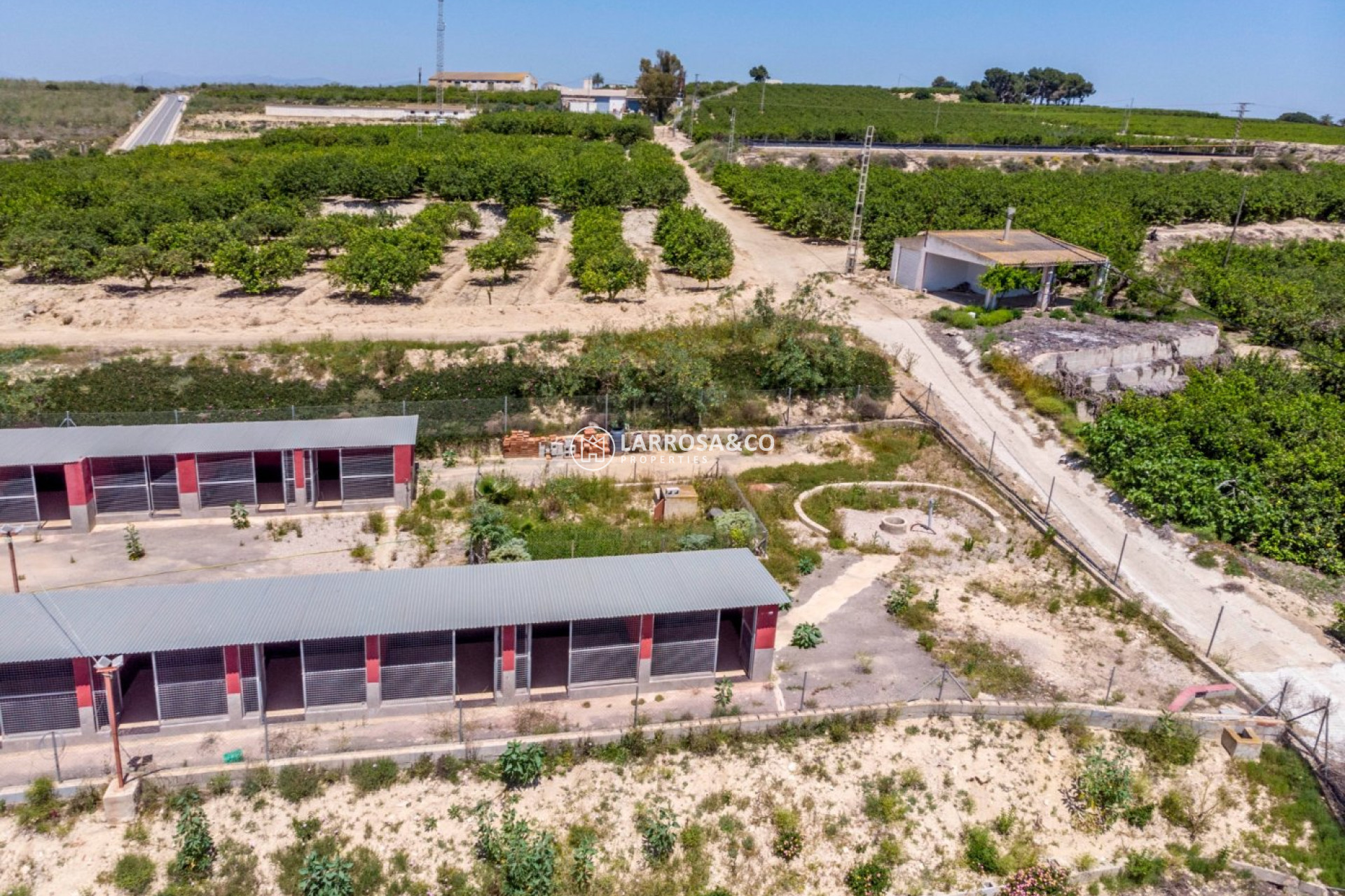 Resale - Country house - Los Montesinos - LOS MONTESINOS