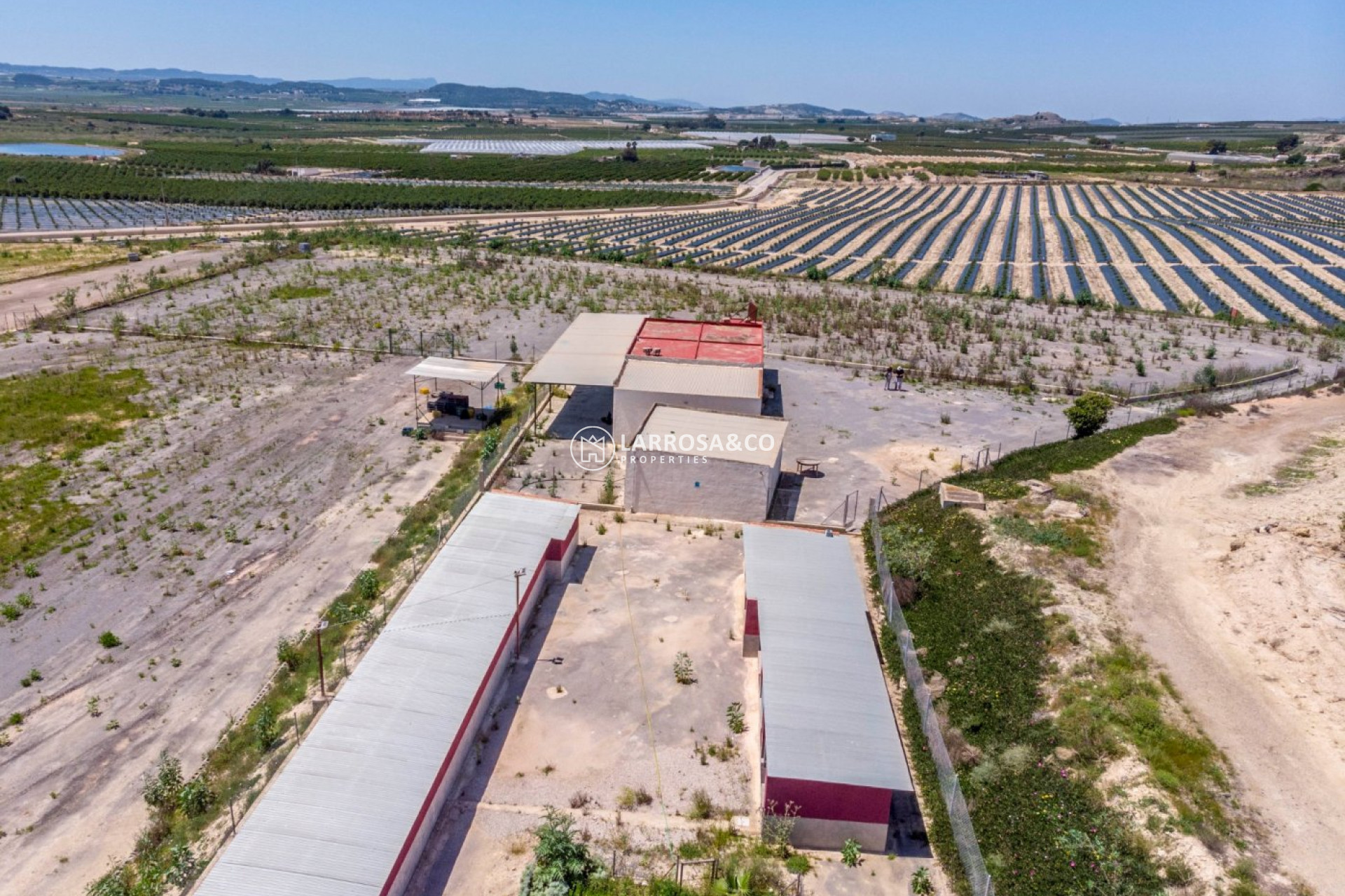 Resale - Country house - Los Montesinos - LOS MONTESINOS