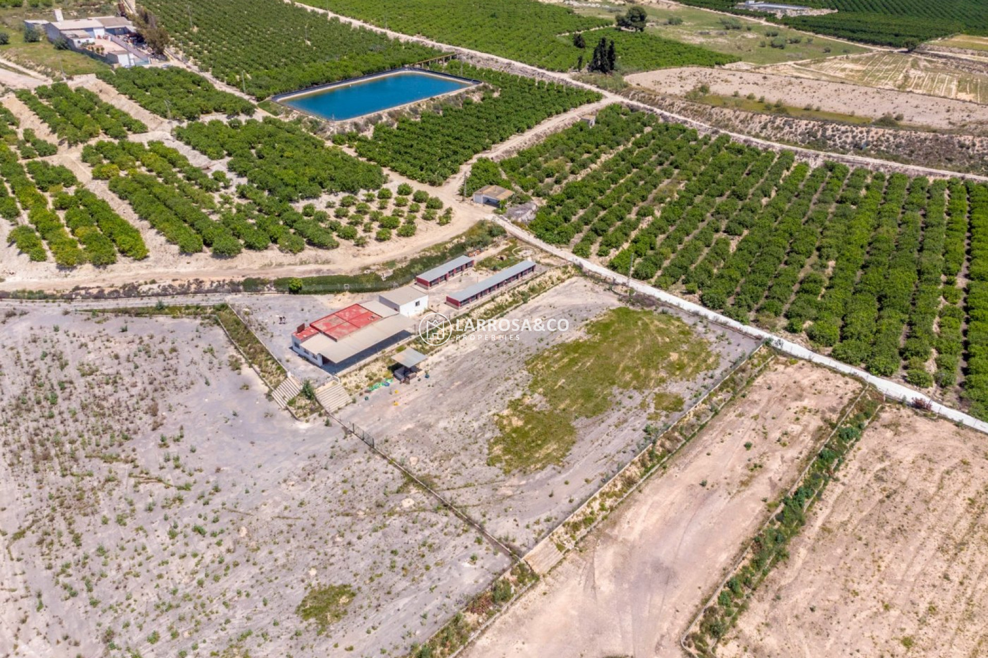 Resale - Country house - Los Montesinos - LOS MONTESINOS
