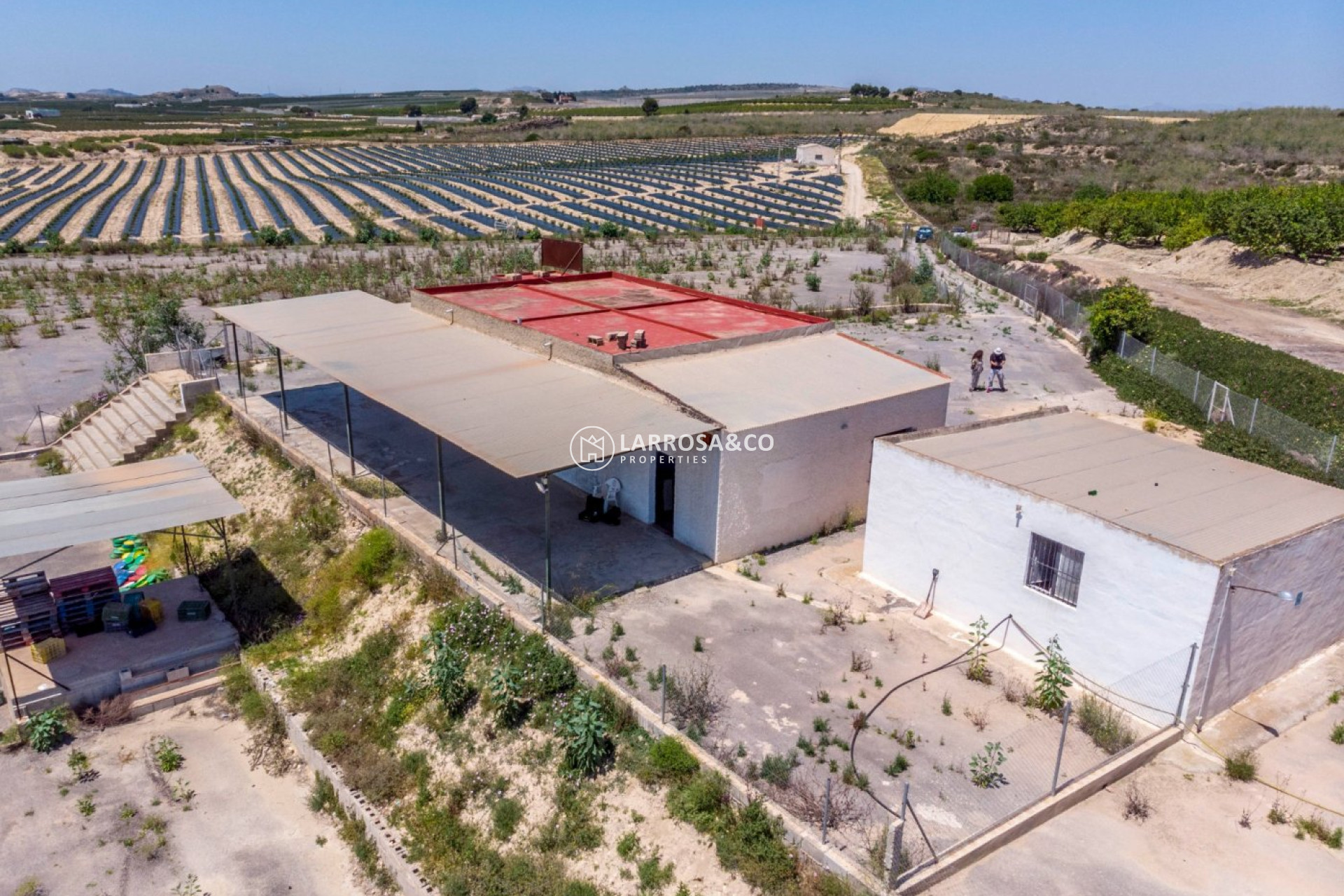 Resale - Country house - Los Montesinos - LOS MONTESINOS
