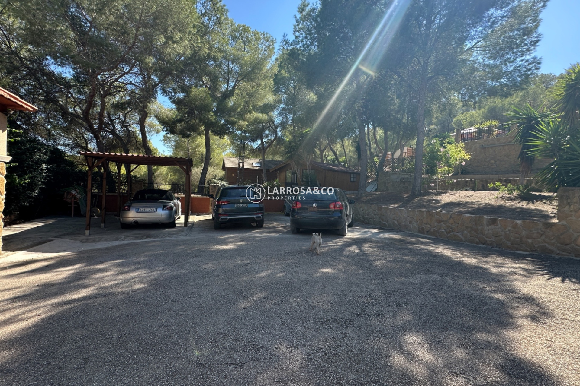 Resale - Country house - San Miguel de Salinas - Inland