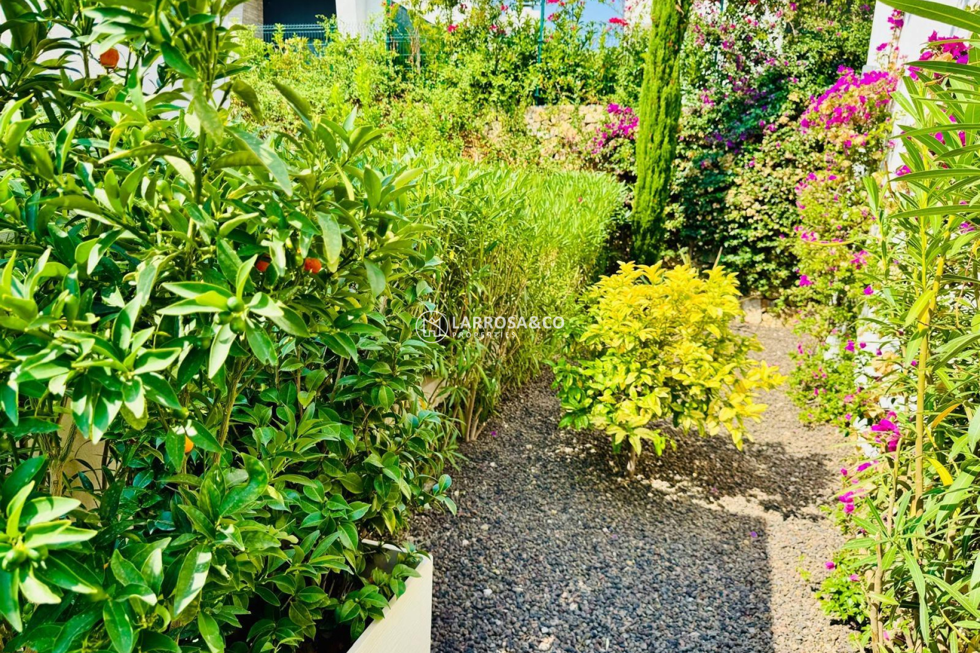 Resale - Detached House/Villa - Algorfa - Club De Golf La Finca