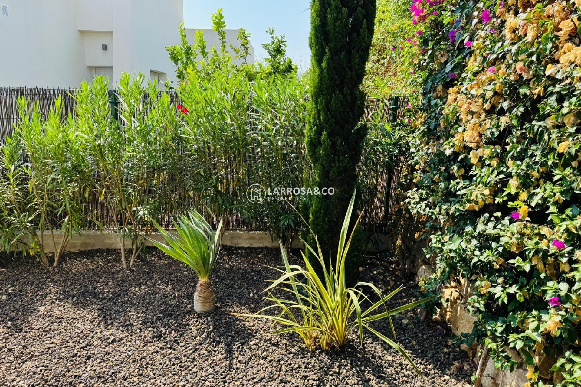 Resale - Detached House/Villa - Algorfa - Club De Golf La Finca