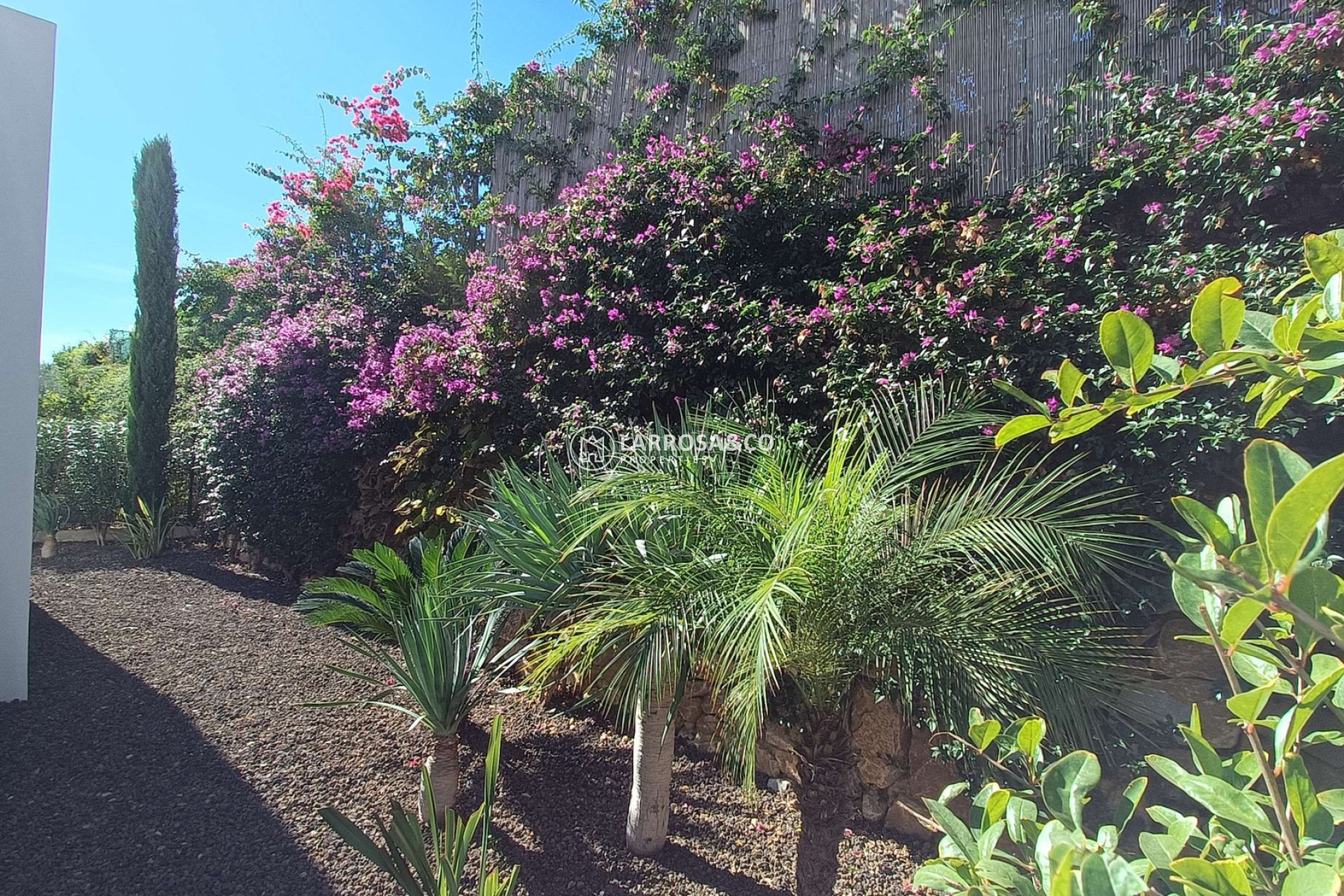 Resale - Detached House/Villa - Algorfa - Inland