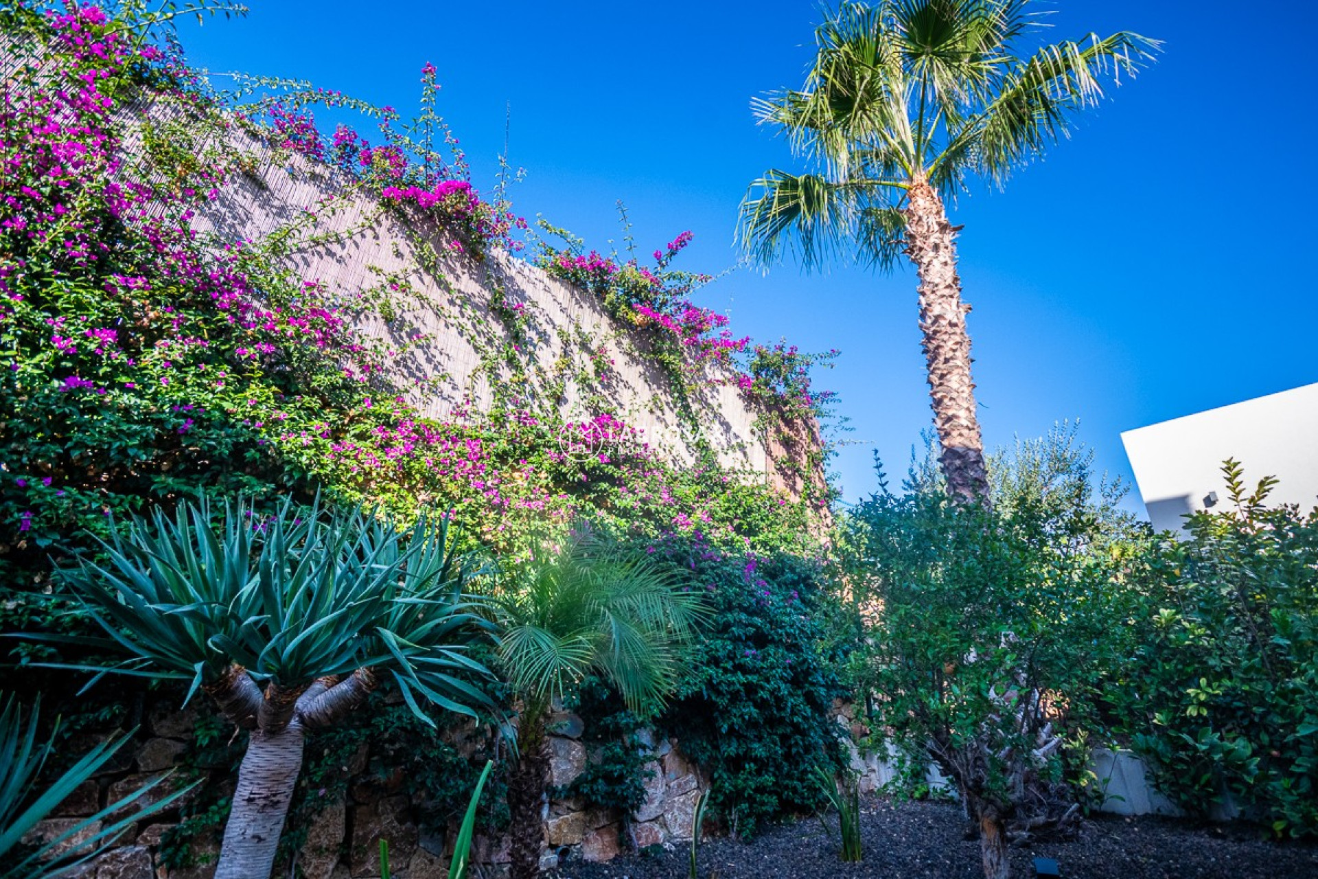 Resale - Detached House/Villa - Algorfa - Inland