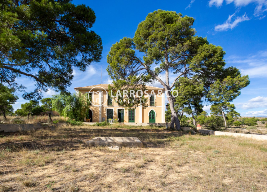 Resale - Detached House/Villa - Alicante - Costa Blanca